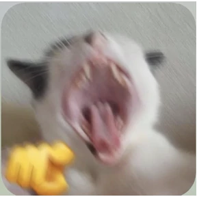 Ситуация — стикер для MAX