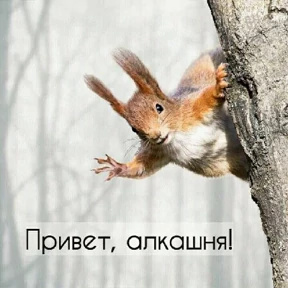 Юся 5 — стикер для MAX