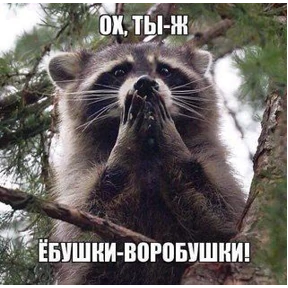 Юся 5 — стикер для MAX