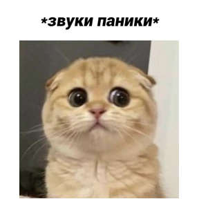 Татарская пауза — стикер для MAX
