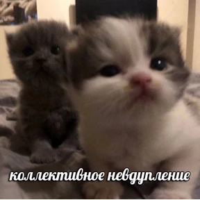 Татарская пауза — стикер для MAX