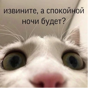 Татарская пауза — стикер для MAX