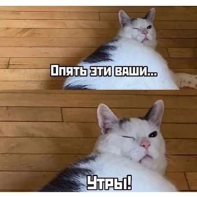 Татарская пауза — стикер для MAX
