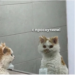 Татарская пауза — стикер для MAX
