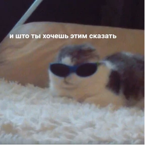 Татарская пауза — стикер для MAX