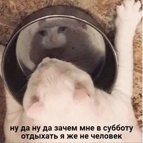 Татарская пауза — стикер для MAX