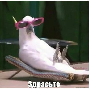 Татарская пауза — стикер для MAX