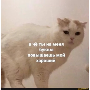 Татарская пауза — стикер для MAX