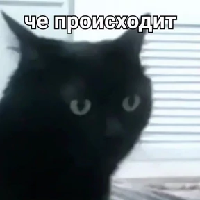 Татарская пауза — стикер для MAX