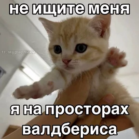 Татарская пауза — стикер для MAX