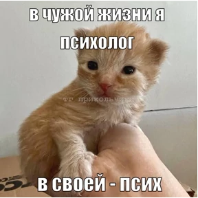 Татарская пауза — стикер для MAX