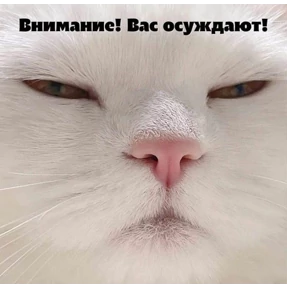 Татарская пауза — стикер для MAX