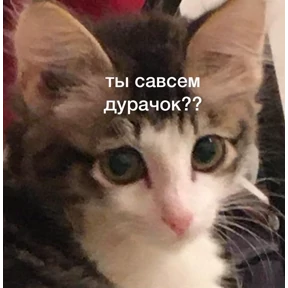 Татарская пауза — стикер для MAX