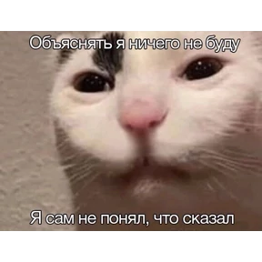 Татарская пауза — стикер для MAX