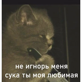 Татарская пауза — стикер для MAX