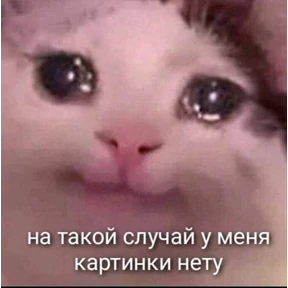 Татарская пауза — стикер для MAX