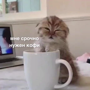 Татарская пауза — стикер для MAX