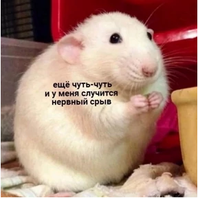 Татарская пауза — стикер для MAX