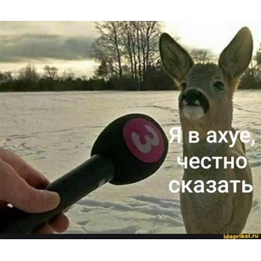 Татарская пауза — стикер для MAX