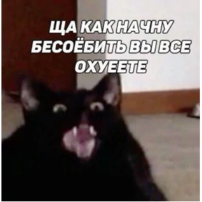 Татарская пауза — стикер для MAX