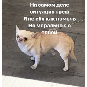 Татарская пауза — стикер для MAX