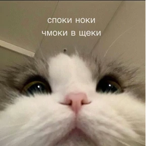 Татарская пауза — стикер для MAX