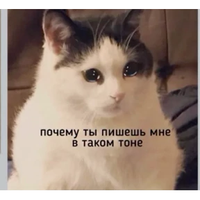 Татарская пауза — стикер для MAX