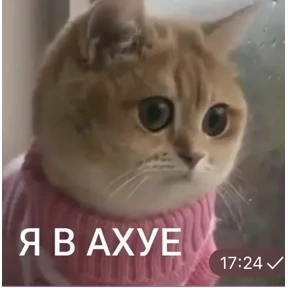 Вип — стикер для MAX