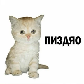 Пупупу — стикер для MAX
