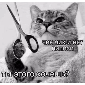 Мои стикеры — стикер для MAX