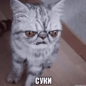 Кошаки — стикер для MAX