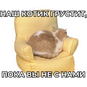 Виртуозы — стикер для MAX