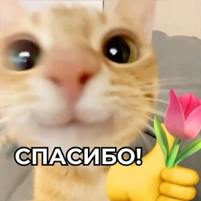 Виртуозы — стикер для MAX