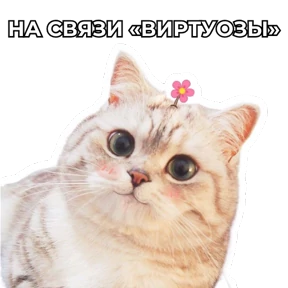 Виртуозы — стикер для MAX