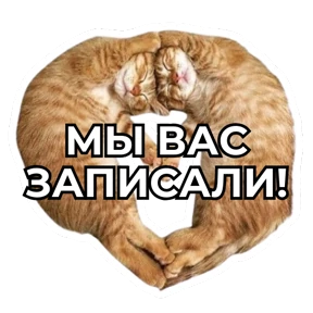 Виртуозы — стикер для MAX