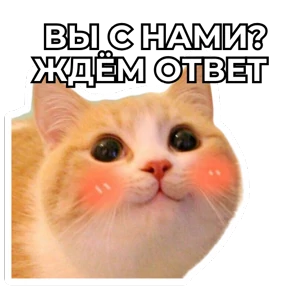 Виртуозы — стикер для MAX