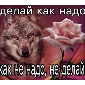 На случай важных переговоров — стикер для MAX