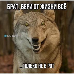 На случай важных переговоров — стикер для MAX