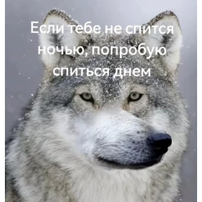 На случай важных переговоров — стикер для MAX