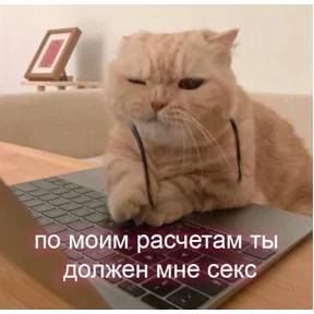 На случай важных переговоров — стикер для MAX
