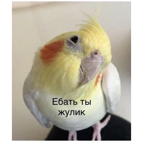 На случай важных переговоров — стикер для MAX