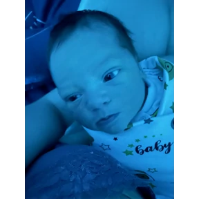 ярик — стикер для MAX