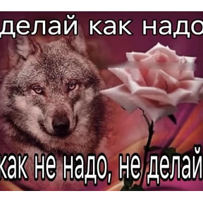 дресня, брат — стикер для MAX