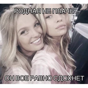 дресня, брат — стикер для MAX
