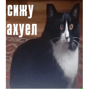 ХиханькиХаханьки — стикер для MAX
