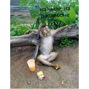 Ибобо — стикер для MAX