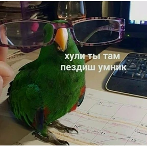 Просто — стикер для MAX