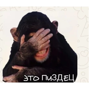 Мои стикеры — стикер для MAX