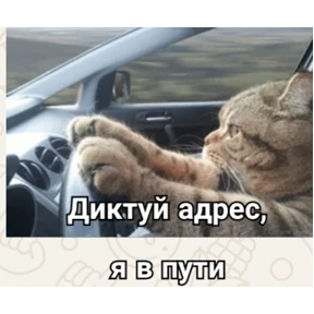 Мои стикеры — стикер для MAX