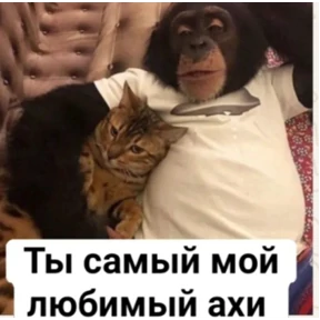 Мои стикеры — стикер для MAX